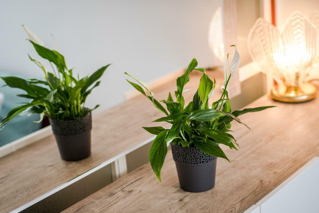 Apartment Lidia